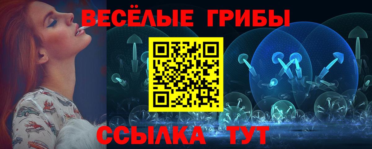 даркнет сайт  Галлюциногенные грибы мицелий  Вход с VPN  Псилоцибиновые грибы Cubensis  Лесосибирск 